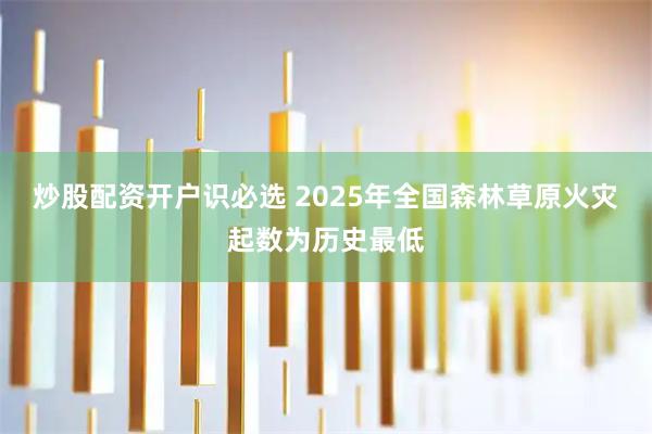 炒股配资开户识必选 2025年全国森林草原火灾起数为历史最低